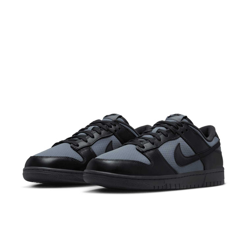 Buty męskie Nike Dunk Low Retro SE FZ3052-001