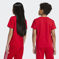 Koszulka Kids adidas Adicolor Trefoil IY7423