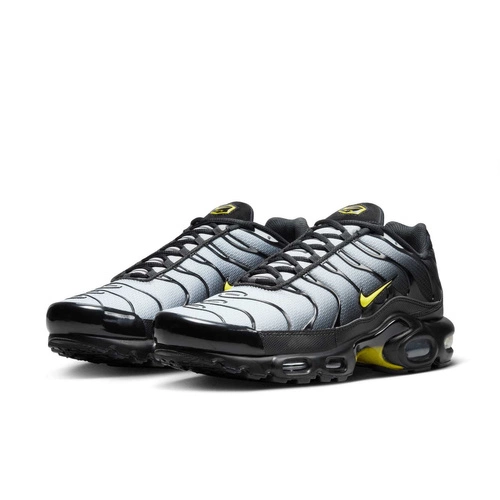 Buty męskie Nike Air Max Plus DM0032-012