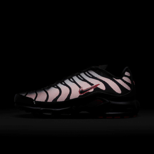 Buty męskie Nike Air Max Plus DZ4507-600