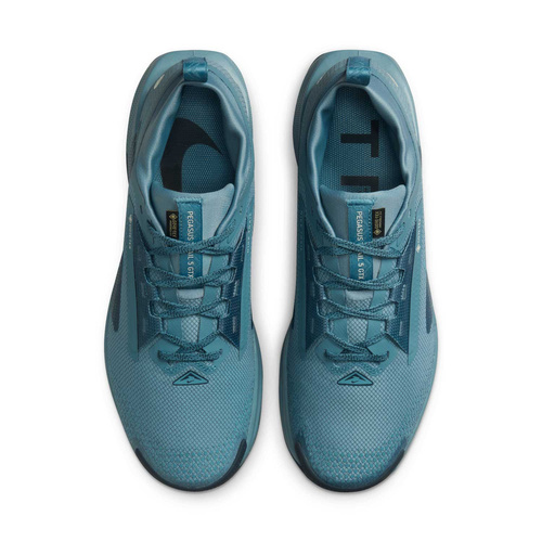 Buty męskie Nike Pegasus Trail 5 FQ0908-005