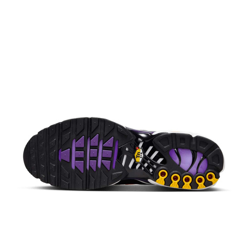 Buty męskie Nike Air Max Plus OG DX0755-500
