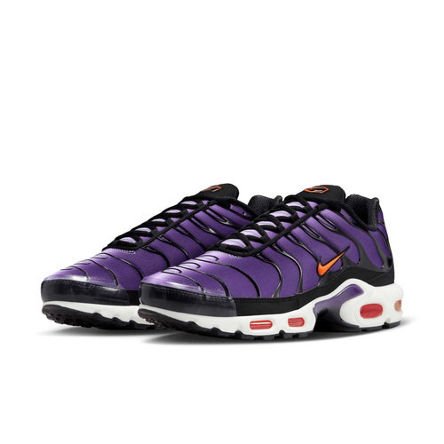 Buty męskie Nike Air Max Plus OG DX0755-500