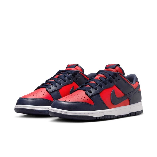 Buty męskie Nike Dunk Low Retro DV0833-601