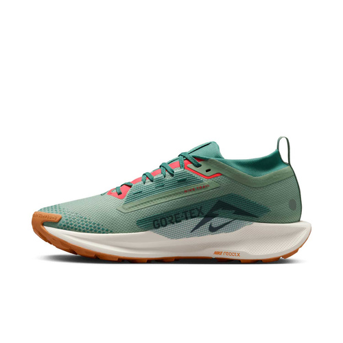 Buty męskie Nike Pegasus Trail 5 GORE-TEX FQ0908-300