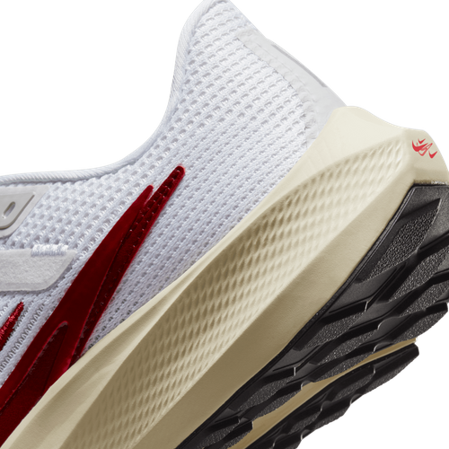 Buty damskie Nike Air Zoom Pegasus 40 Premium FB7703-100