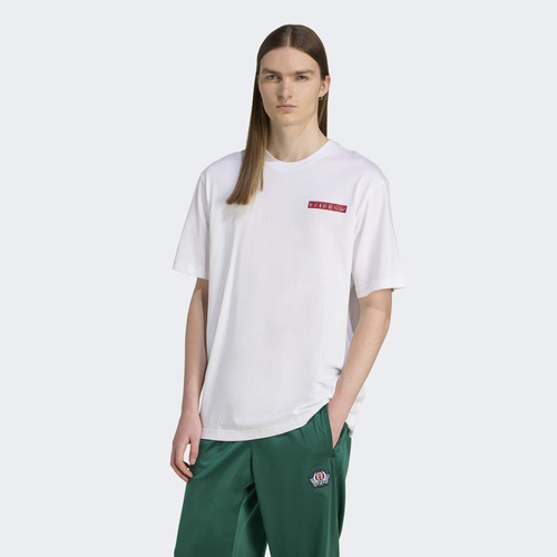 Koszulka męska adidas Graphic T-shirt JX3094