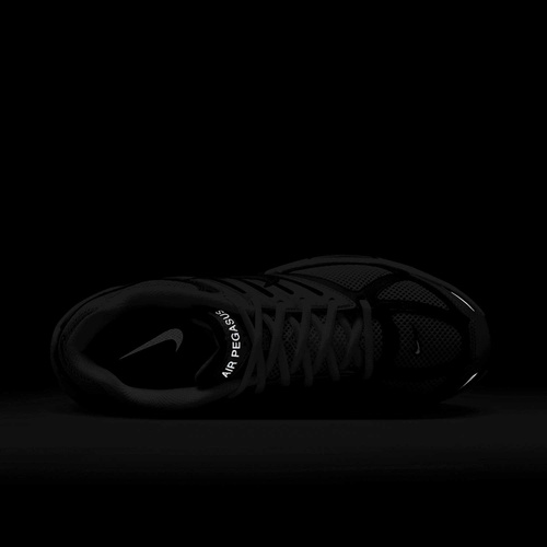 Buty męskie Nike Air Pegasus 2005 HQ3031-002