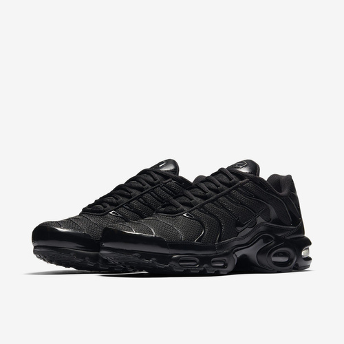 Buty męskie Nike Air Max Plus 604133-050