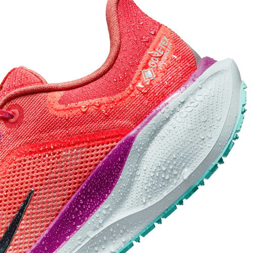 Buty męskie Nike Pegasus 41 GORE-TEX HM8872-600