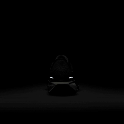 Buty męskie Nike Pegasus 41 FD2722-401