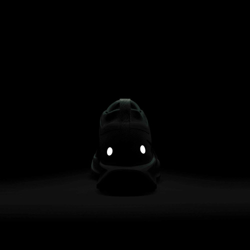 Buty męskie Nike Pegasus Trail 5 GORE-TEX FQ0908-300