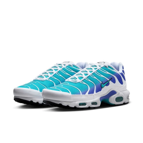 Buty męskie Nike Air Max Plus DM0032-102