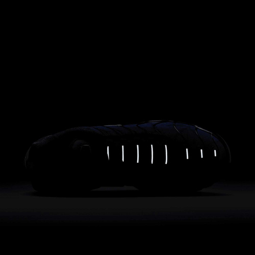 Buty męskie Nike Air Max Plus FV0393-001