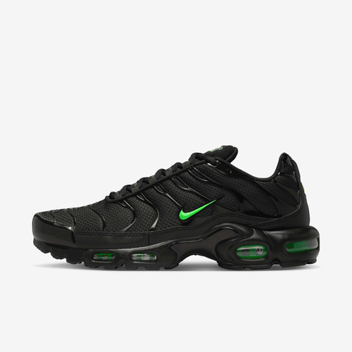 Buty męskie Nike Air Max Plus DM0032-024