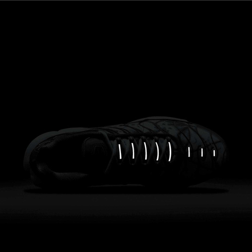 Buty męskie Nike Air Max Plus FV0394-300