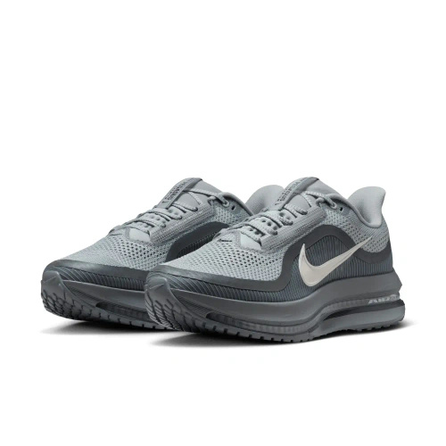 Buty męskie Nike Pegasus Premium HQ2592-013