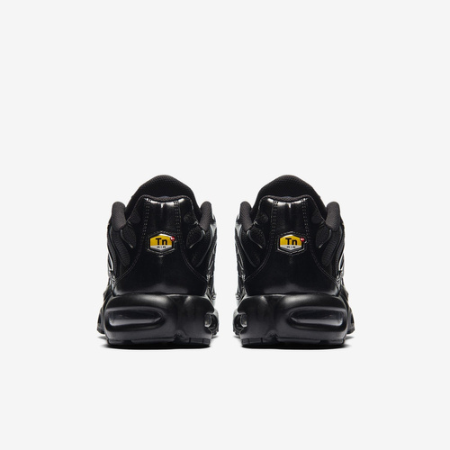 Buty sportowe męskie Nike Air Max Plus 604133-050