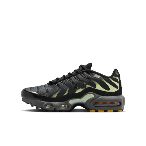 Buty Junior Nike Air Max Plus CD0609-044