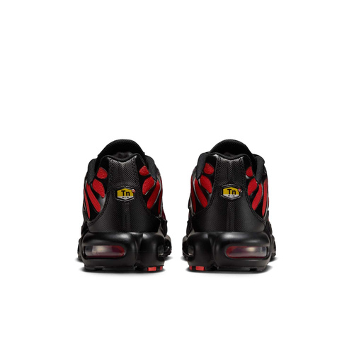 Buty męskie Nike Air Max Plus DM0032-021