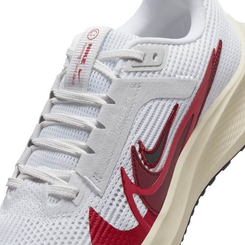 Buty damskie Nike Air Zoom Pegasus 40 Premium FB7703-100