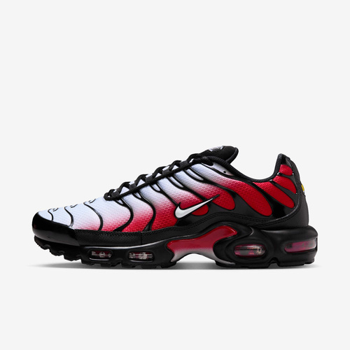 Buty męskie Nike Air Max Plus DM0032-017