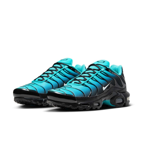 Buty męskie Nike Air Max Plus DM0032-401