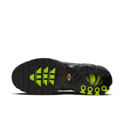 Buty męskie Nike Air Max Plus FQ2381-001