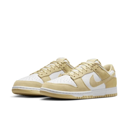 Buty męskie Nike Dunk Low Retro FQ8249-102