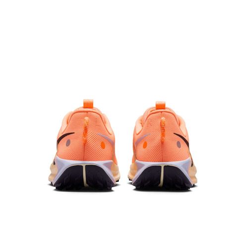 Buty męskie Nike Pegasus Trail 5 DV3864-800