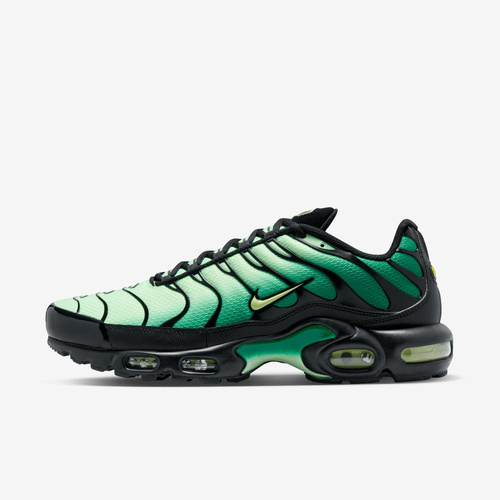 Buty męskie Nike Air Max Plus DM0032-301