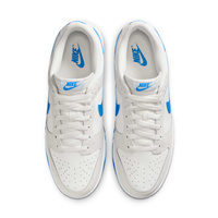 Buty męskie Nike Dunk Low Retro DV0831-108
