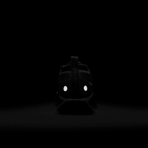 Buty sportowe damskie Nike Pegasus Trail 5 GORE-TEX FQ0912-002