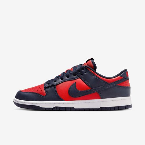 Buty męskie Nike Dunk Low Retro DV0833-601