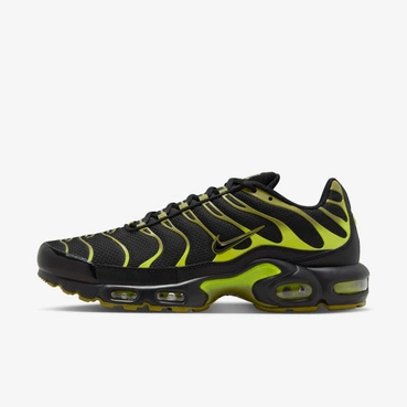 Buty męskie Nike Air Max Plus DM0032-010