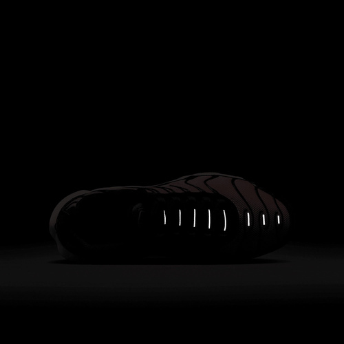 Buty Junior Nike Air Max Plus CD0609-010