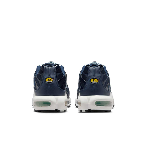 Buty męskie Nike Air Max Plus IH4459-473