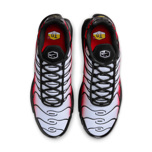 Buty męskie Nike Air Max Plus DM0032-017
