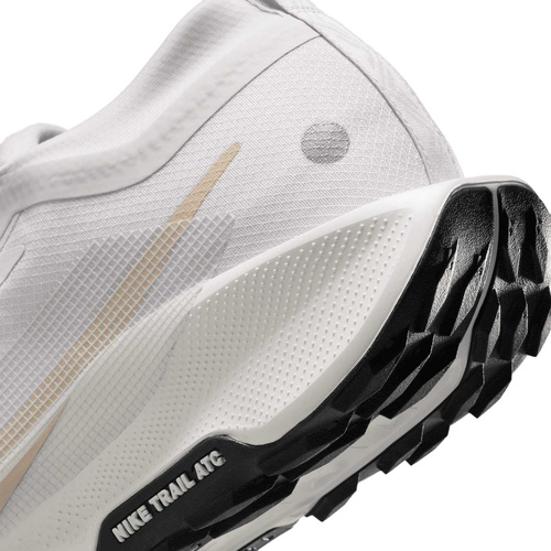 Buty męskie Nike Pegasus Trail 5 GORE-TEX FQ0908-010