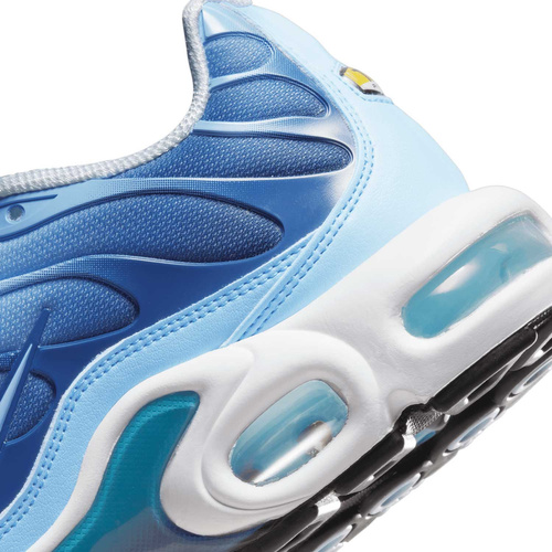 Buty damskie Nike Air Max Plus FJ4736-400