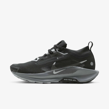 Buty damskie Nike Pegasus Trail 5 GORE-TEX FQ0912-001