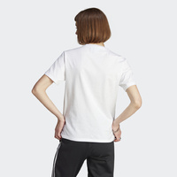 Koszulka damska adidas Adicolor Classics Trefoil IK4036