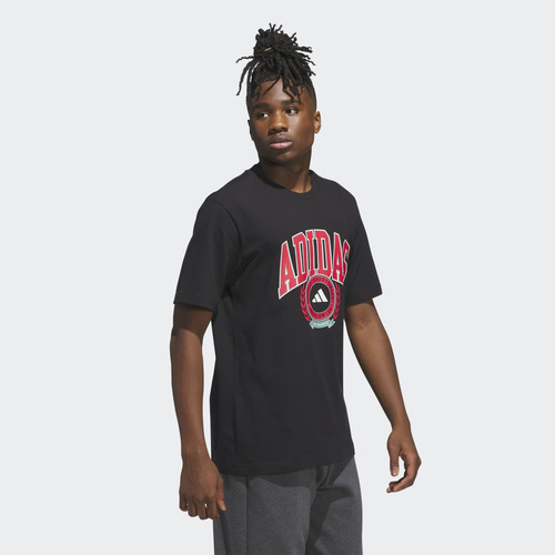 Koszulka męska adidas Varsity Crest JV8443