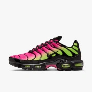 Buty męskie Nike Air Max Plus DM0032-027