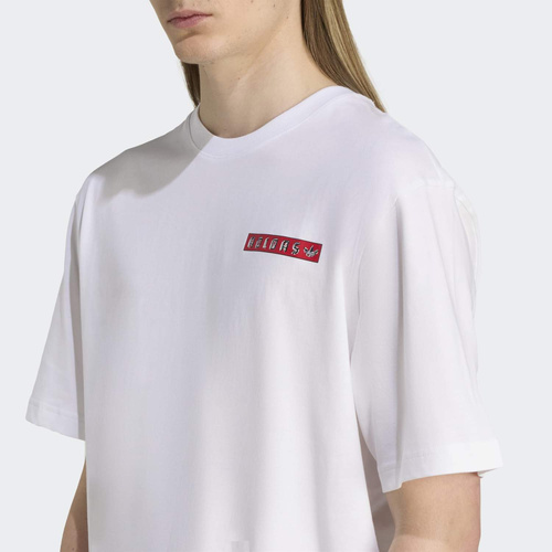 Koszulka męska adidas Graphic T-shirt JX3094
