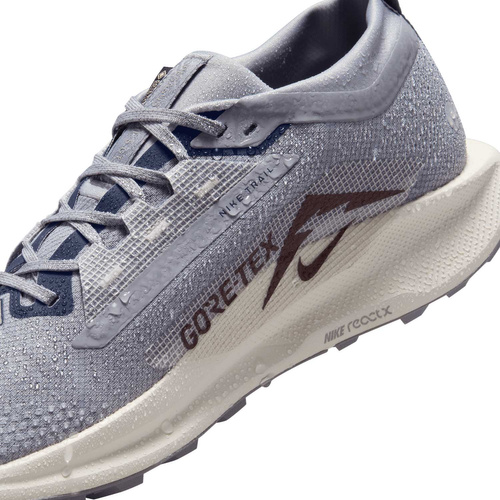 Buty męskie Nike Pegasus Trail 5 GORE-TEX FQ0908-006