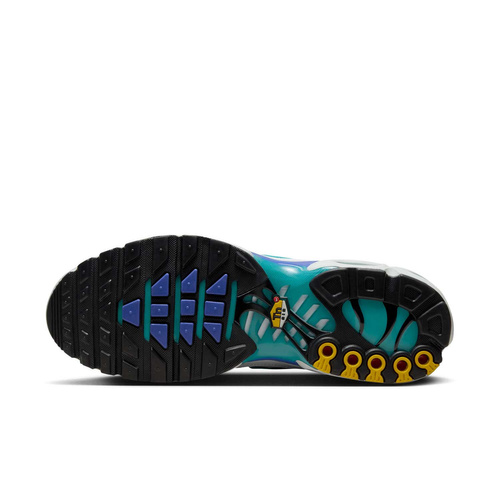 Buty męskie Nike Air Max Plus DM0032-102