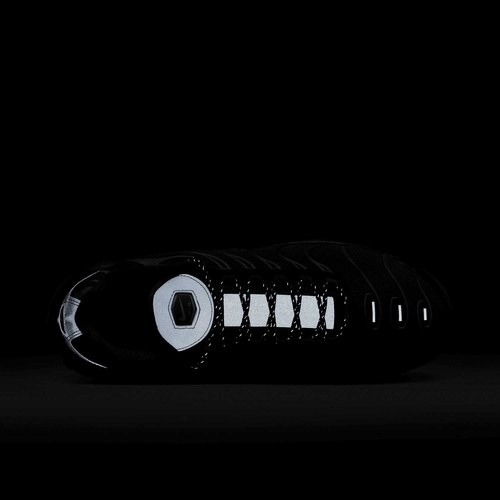 Buty męskie Nike Air Max Plus FV0385-001