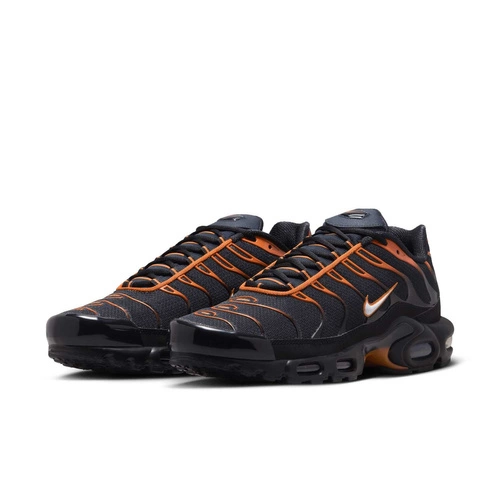 Buty męskie Nike Air Max Plus FN6949-400