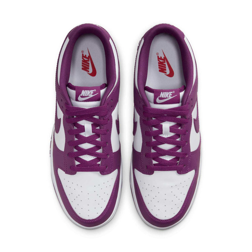 Buty męskie Nike Dunk Low Retro DV0833-107